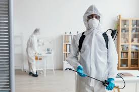 Affordable Termite Control Strategies to Prevent Structural Damage
