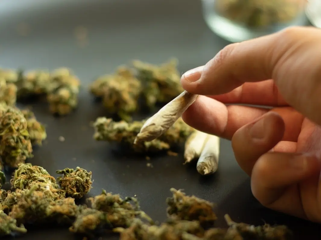 Key Market Insights and Consumer Trends Driving Cannabis E-Commerce Growth in British Columbia