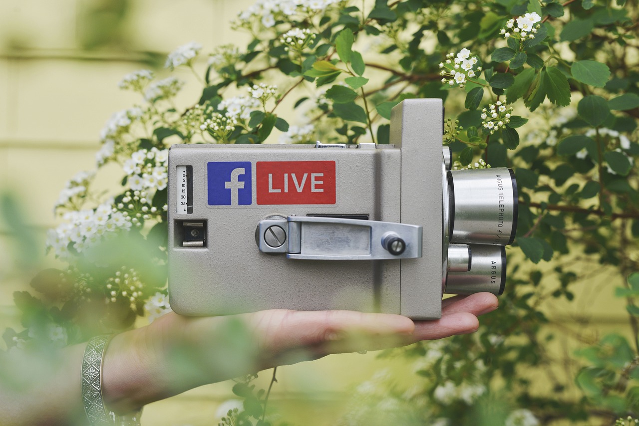 Why Successful Agencies Choose White Label Facebook Ads